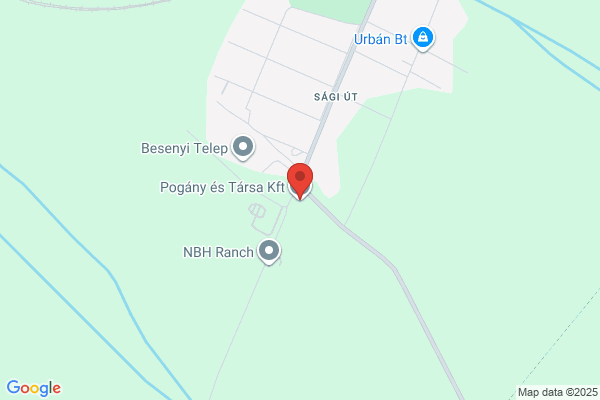 Pogány és Társa Kft.