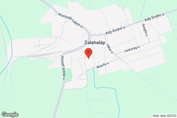 Csontváry Általános Iskola