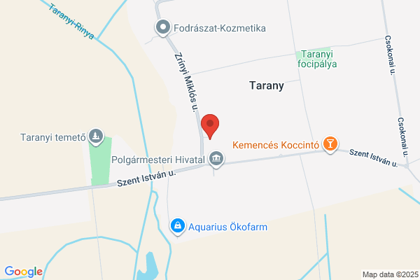 Árpád Fejedelem Általános Iskola