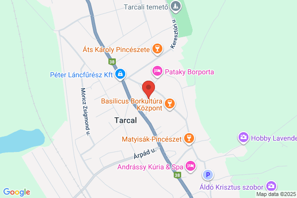 Bodrog Panzió