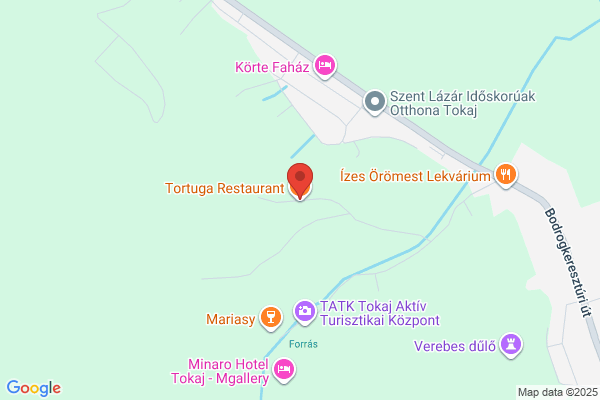 TORTUGA RESTAURANT