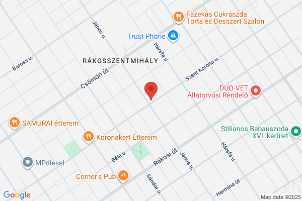 Autóriasztó és Extrák Szervize