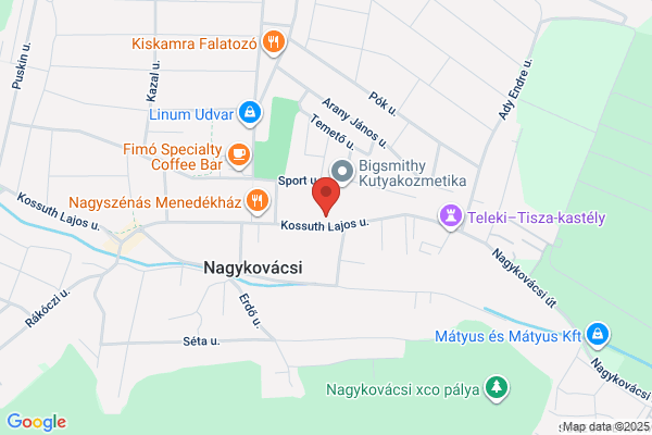 Cédrus Patika