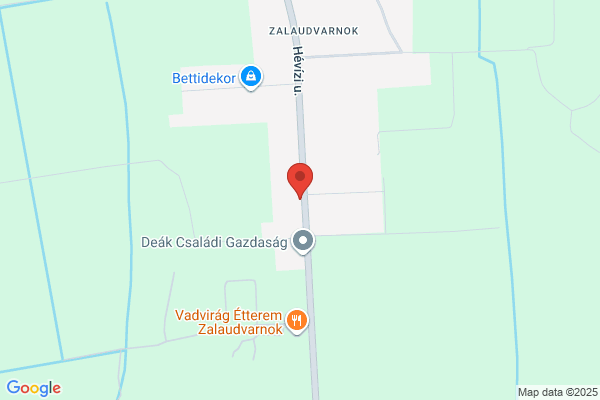 Göcsej Autóház Kft