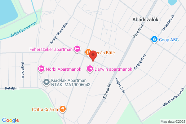 Szalóki Szolgáltató Kft.