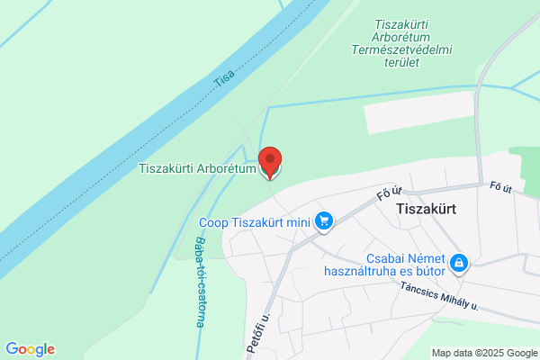 Tiszakürti Arborétum
