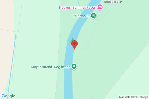 Könyvtár