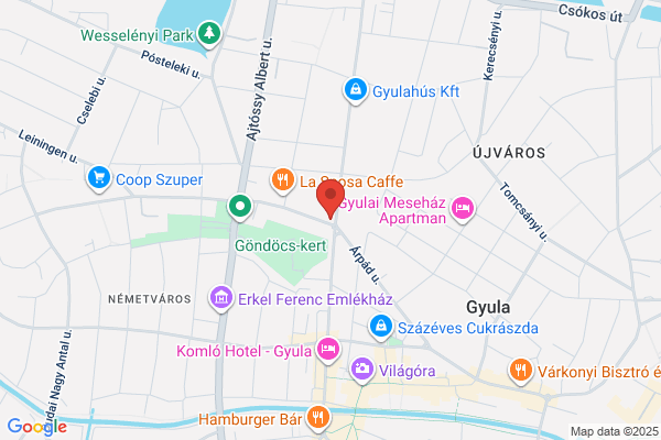Egészségügyi Szolgáltatás