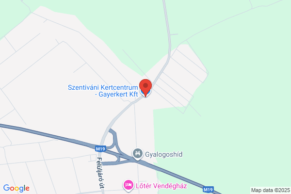 Gayer Gyula Általános Iskola