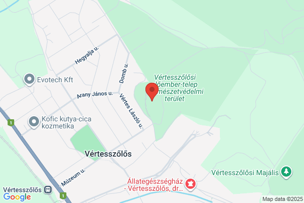 Városi Múzeum, Helyt. Gyűjtemény