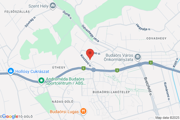 Budaörsi Városi Bíróság
