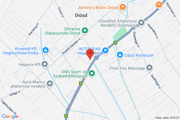 Diósdi Rendőrőrs