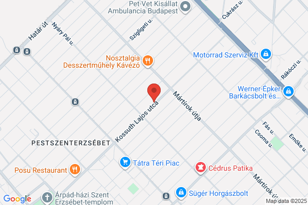 Forgács Int. Asszisztált Reprod. Kp