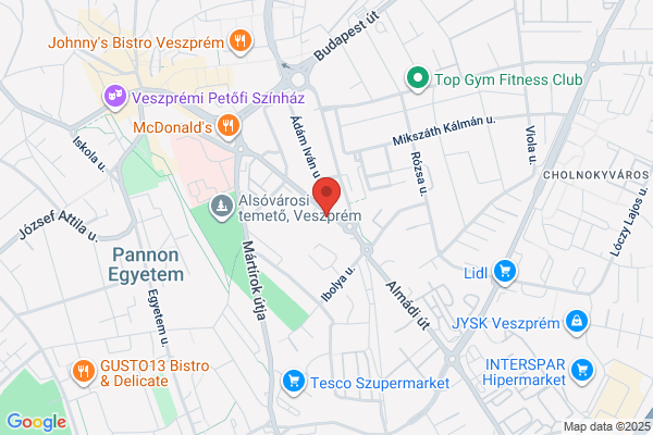 Mester Medicin Eü És Szolg. Bt.