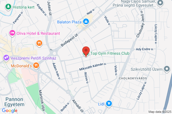 Top Gym Fitness Club