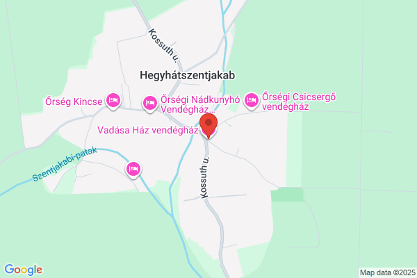 Paracelsus Gyógyszerészeti Bt.