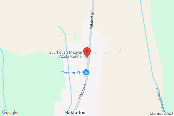Községi Könyvtár