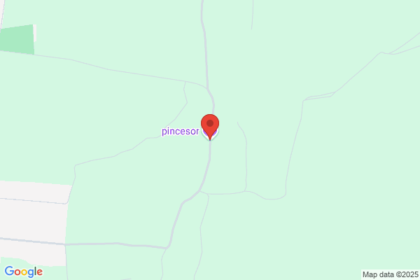 Pincesor