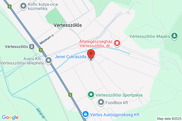 Fényes Áruház Anna Üveg