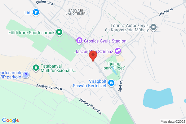 Tatabányai Városi Bíróság