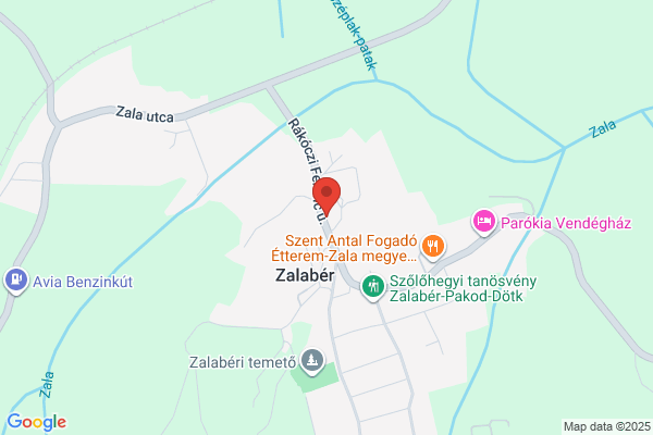 Aranyág Gyógyszertár