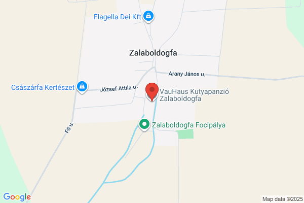 Községi Könyvtár
