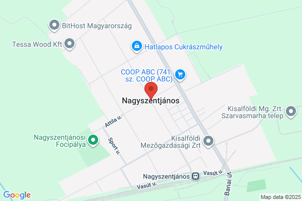 Nagy János
