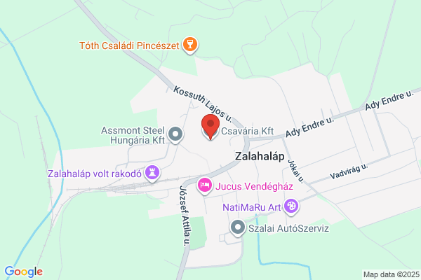 Vasúteü Szolg. Kht. Rendelőint.
