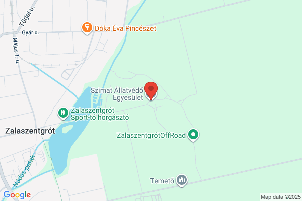 Ezüsthárs Fgy.