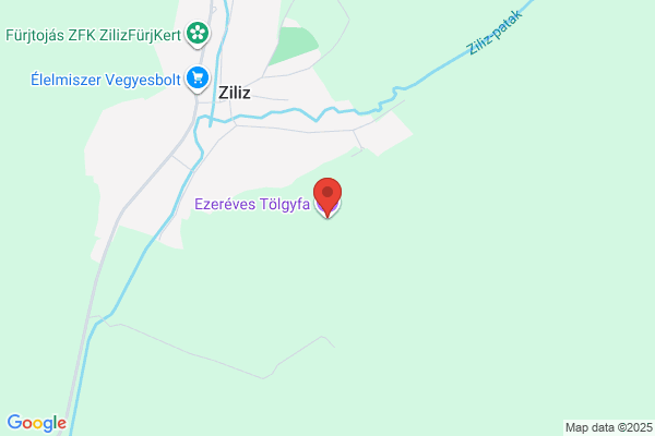 Nefelejcs Napközi Otthonos Óvoda