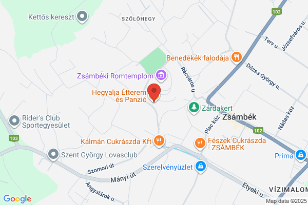 Hegyalja Panzió